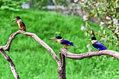 外媒评PS5最强23款游戏：《恶魔之魂：重制版》登顶